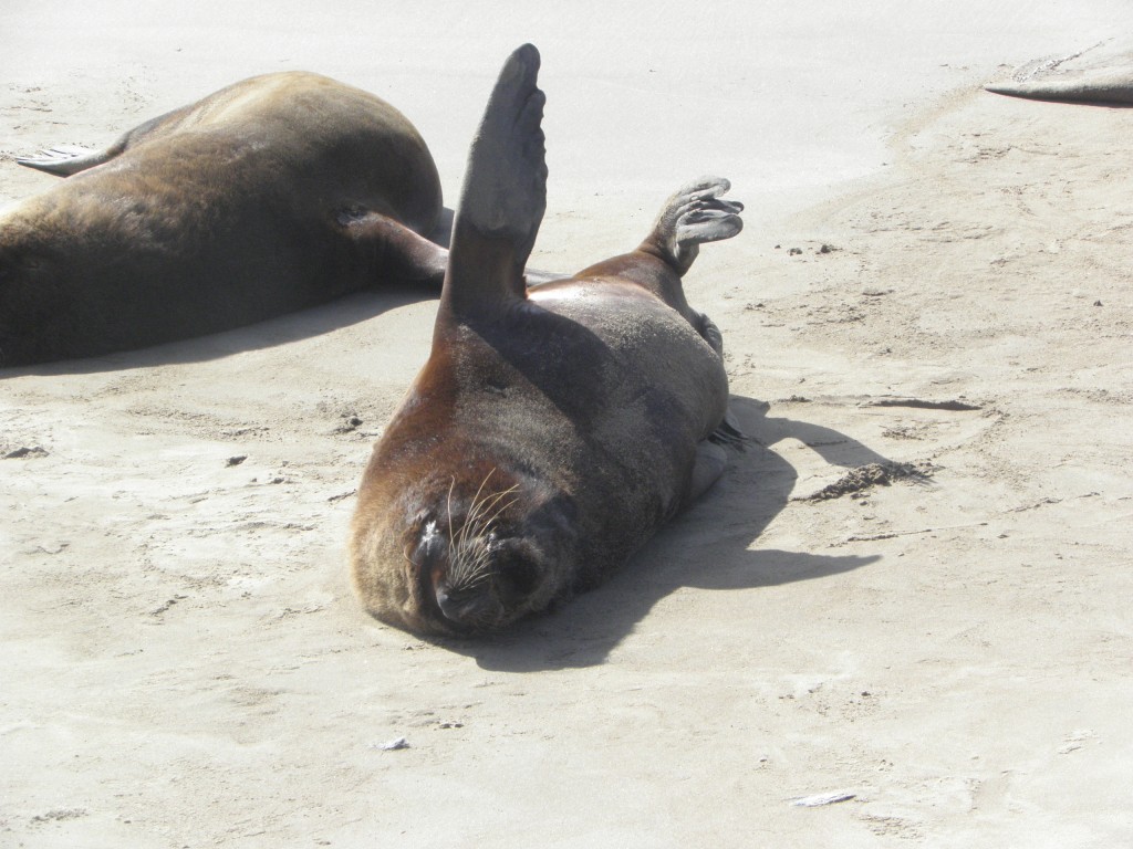 Foto: Puerto - Mar del Plata, Argentina