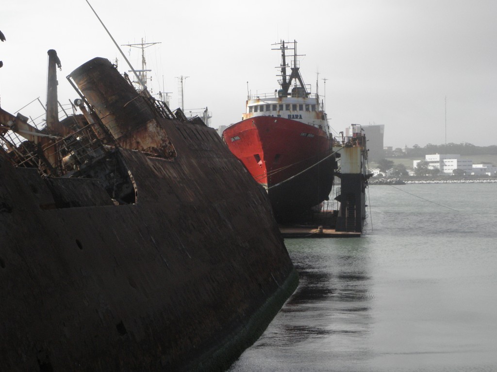 Foto: Puerto - Mar del Plata, Argentina