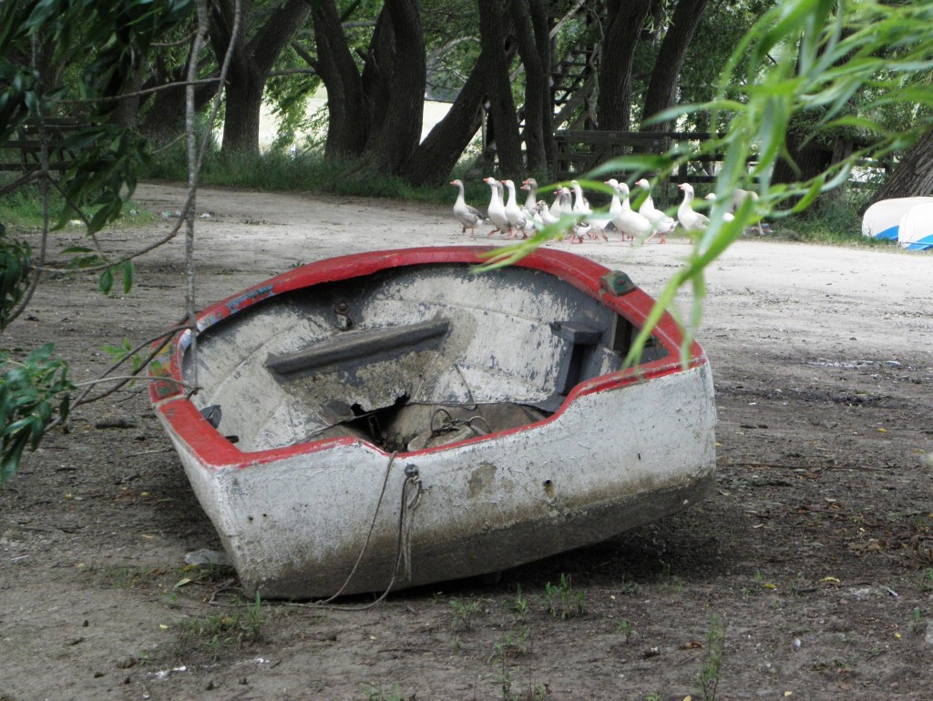 Foto: Club de pesca - Laguna de los Padres, Argentina