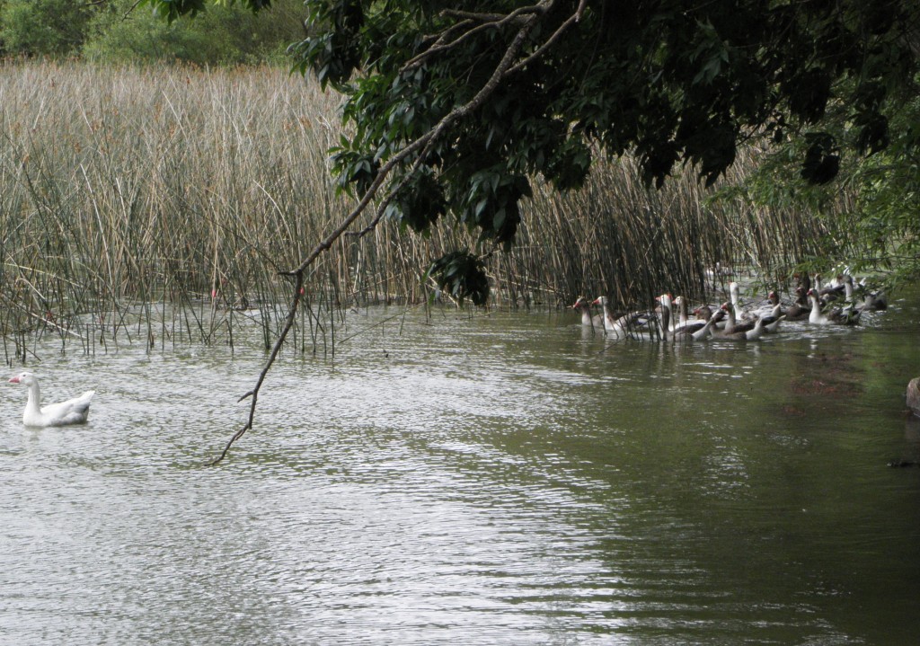 Foto: Club de pesca - Laguna de los Padres, Argentina