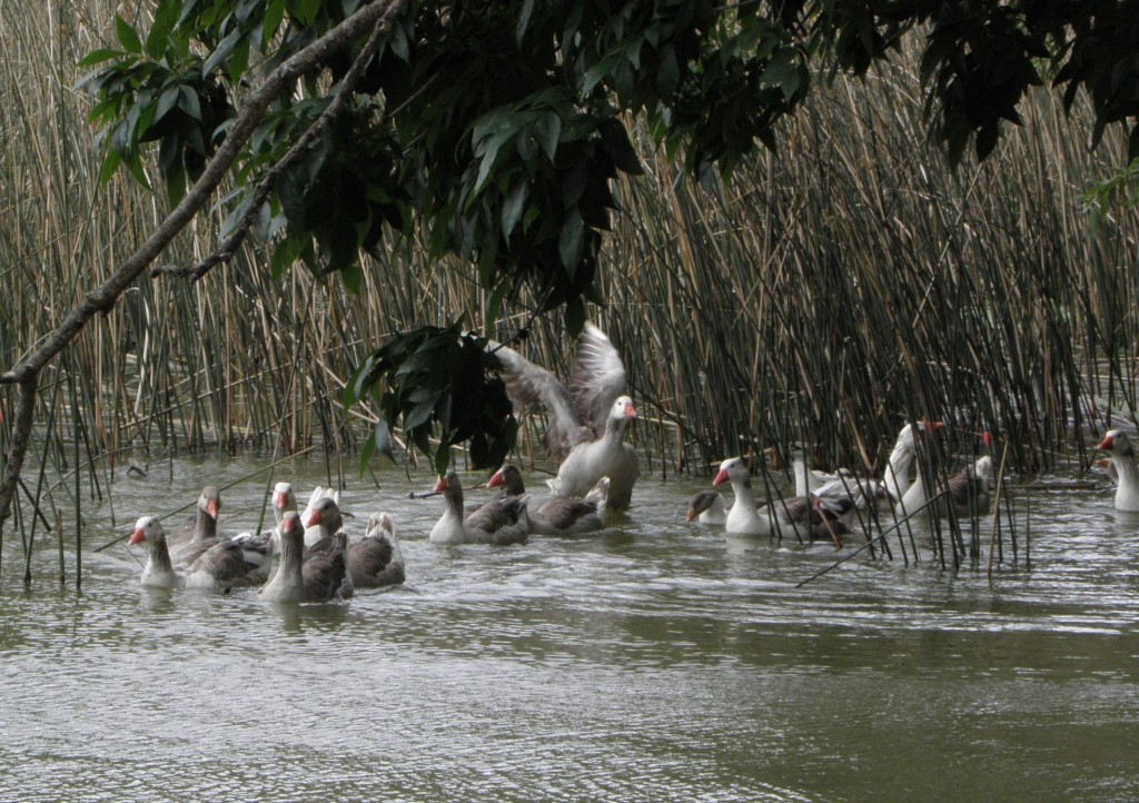 Foto: Club de pesca - Laguna de los Padres, Argentina