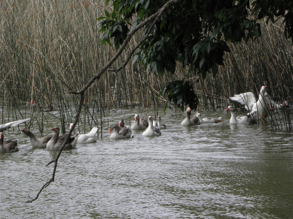 Foto: Club de pesca - Laguna de los Padres, Argentina