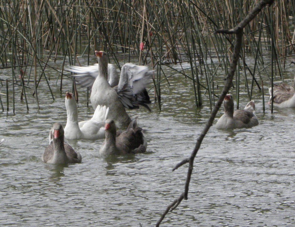 Foto: Club de pesca - Laguna de los Padres, Argentina