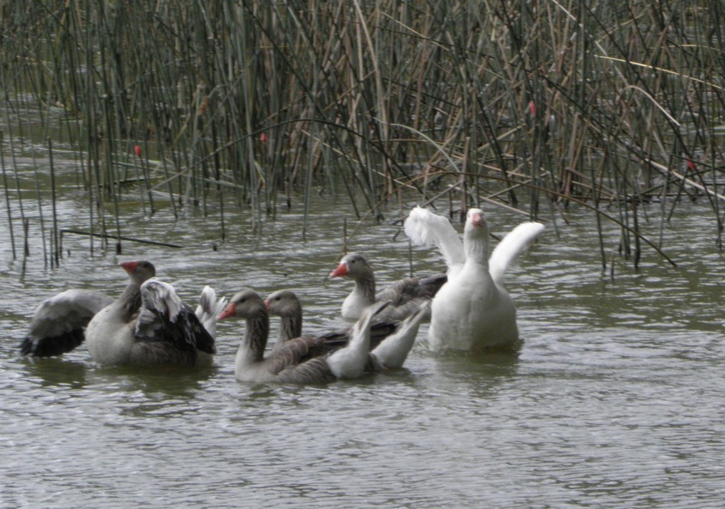 Foto: Club de pesca - Laguna de los Padres, Argentina