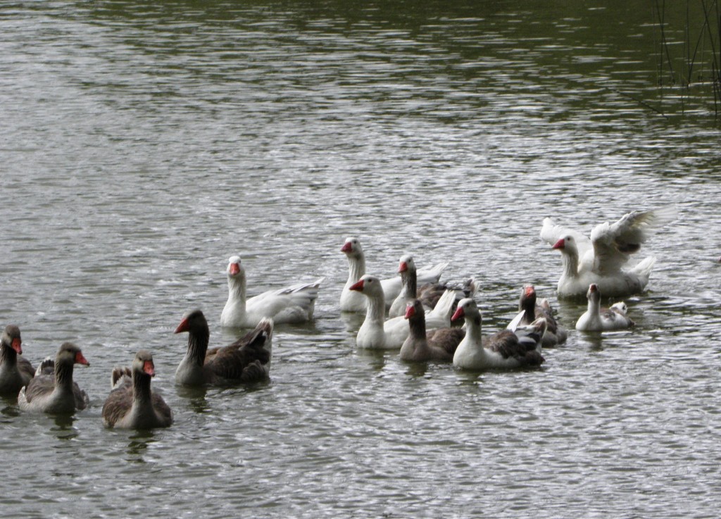 Foto: Club de pesca - Laguna de los Padres, Argentina