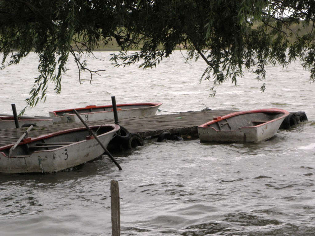 Foto: Club de pesca - Laguna de los Padres, Argentina