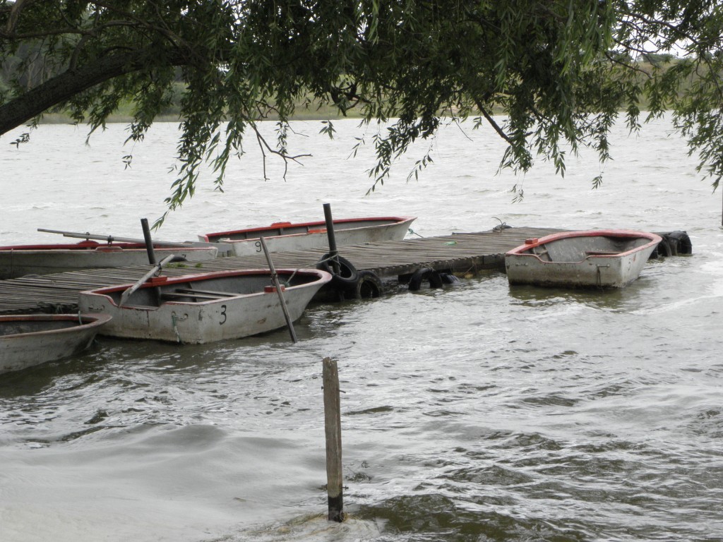 Foto: Club de pesca - Laguna de los Padres, Argentina