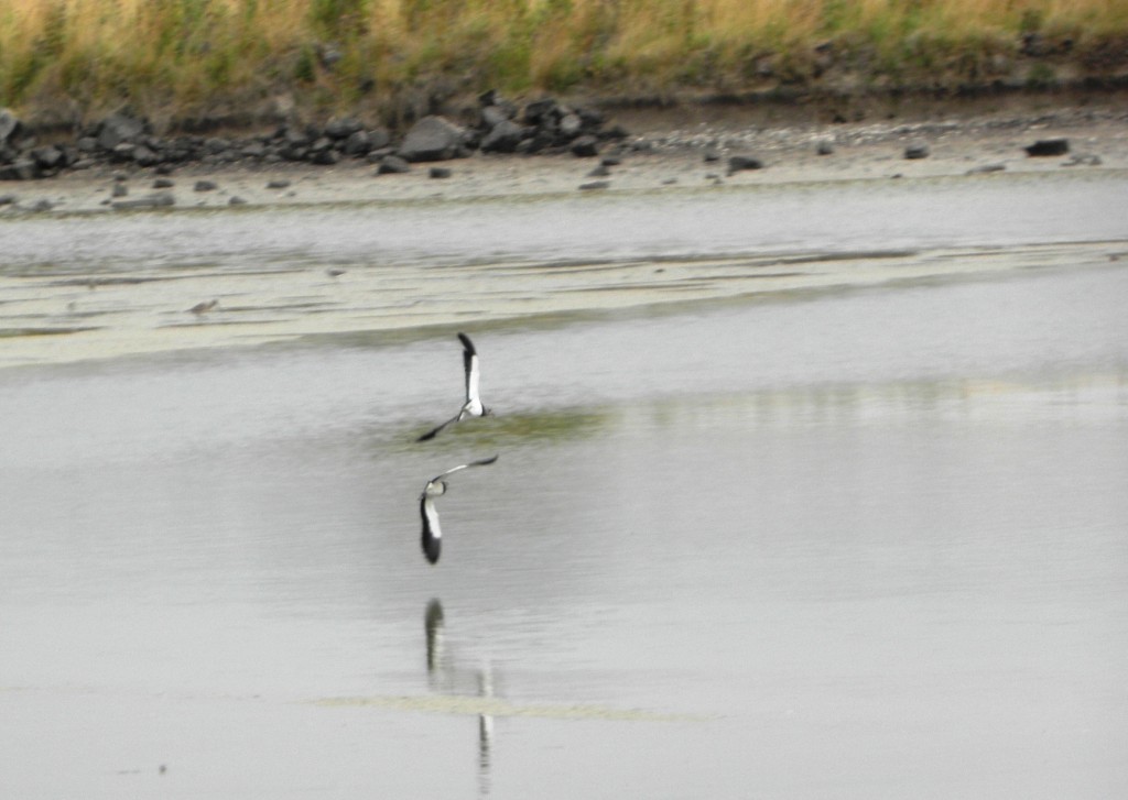 Foto: Albufera - Mar Chiquita, Argentina