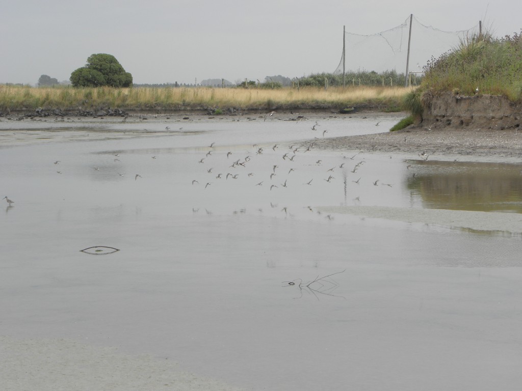 Foto: Albufera - Mar Chiquita, Argentina