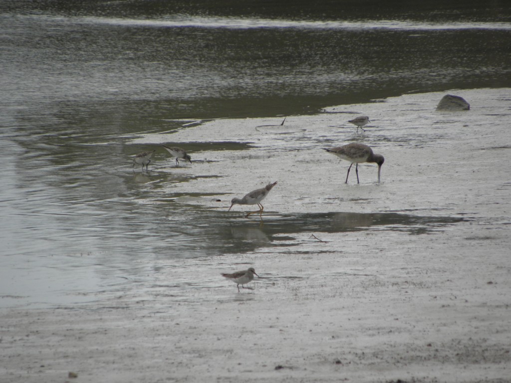 Foto: Albufera - Mar Chiquita, Argentina