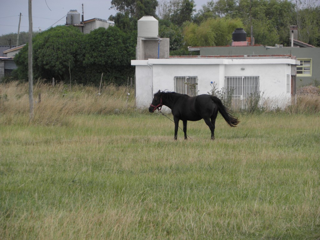 Foto de Mar Chiquita, Argentina