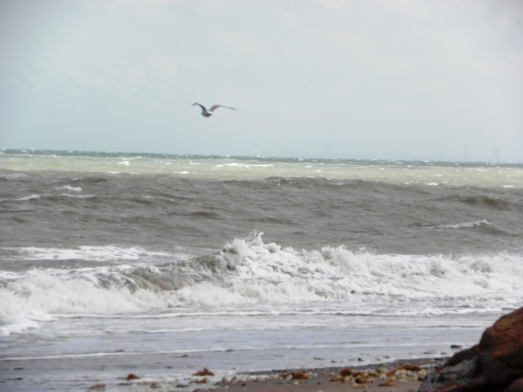 Foto de Mar Chiquita, Argentina