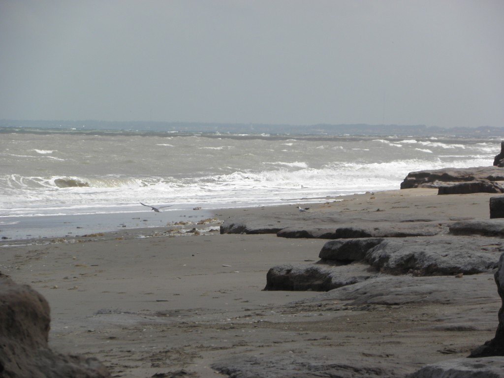 Foto de Mar Chiquita, Argentina