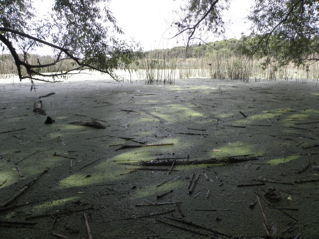 Foto de Mar Chiquita, Argentina