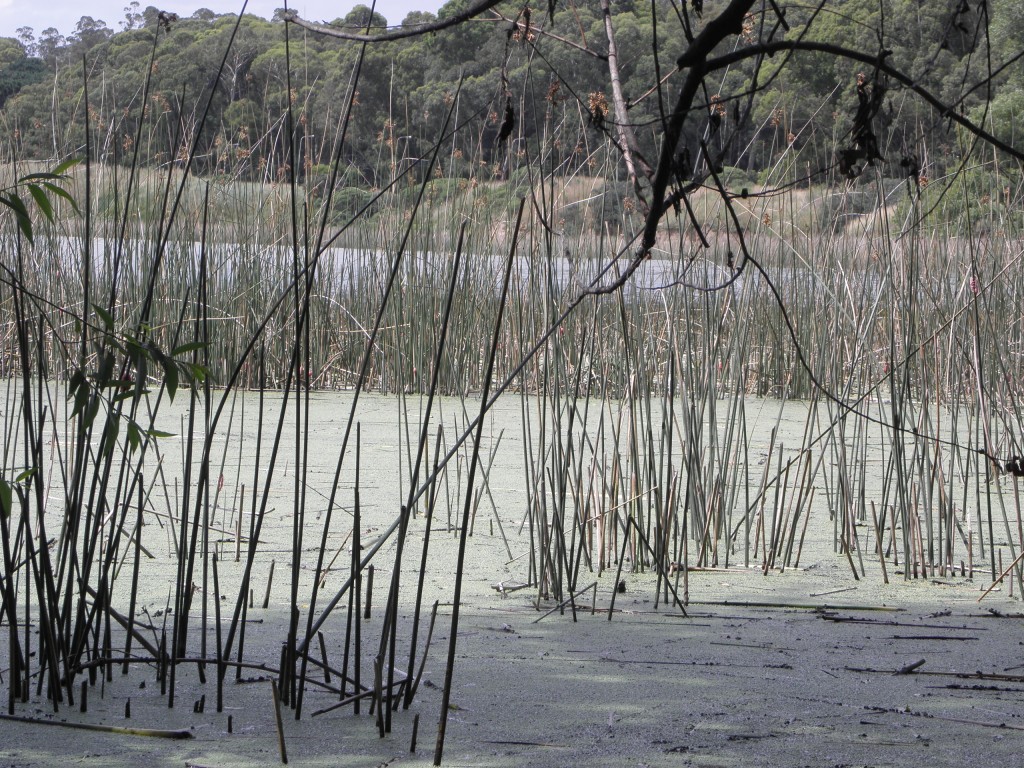 Foto de Mar Chiquita, Argentina