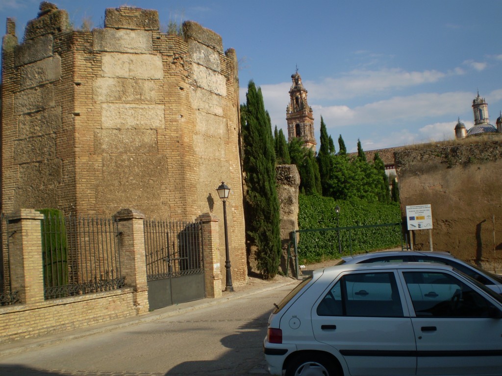 Foto: PELOCAQUI - Palma Del Rio (Córdoba), España