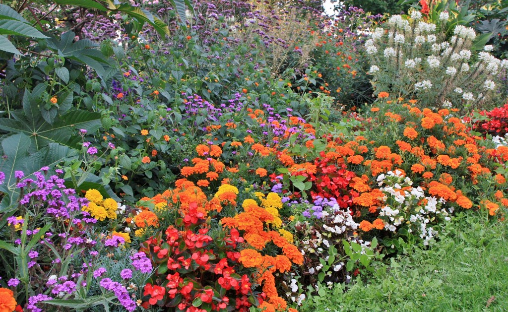 Foto: Jardín - Freiburg im Breisgau (Friburgo) (Baden-Württemberg), Alemania