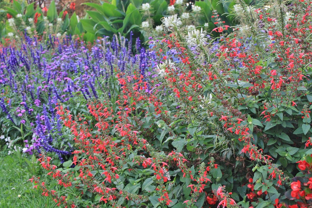 Foto: Jardín - Freiburg im Breisgau (Friburgo) (Baden-Württemberg), Alemania