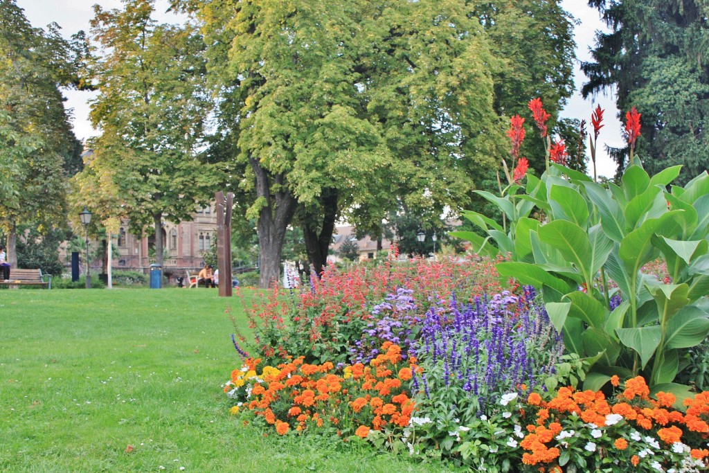 Foto: Jardín - Freiburg im Breisgau (Friburgo) (Baden-Württemberg), Alemania