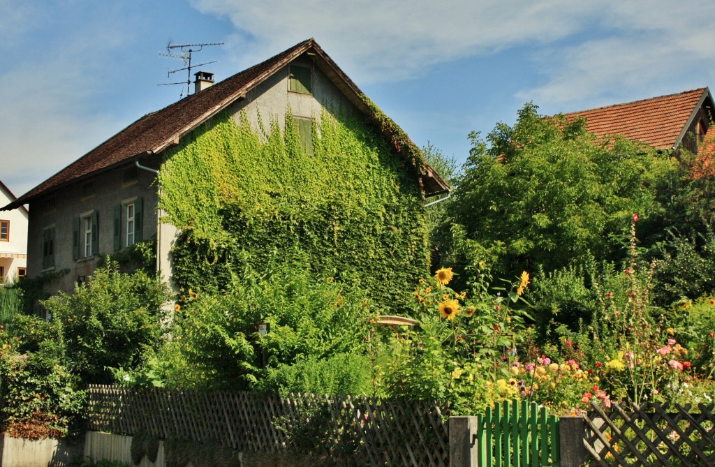 Foto: Centro histórico - Meersburg (Baden-Württemberg), Alemania