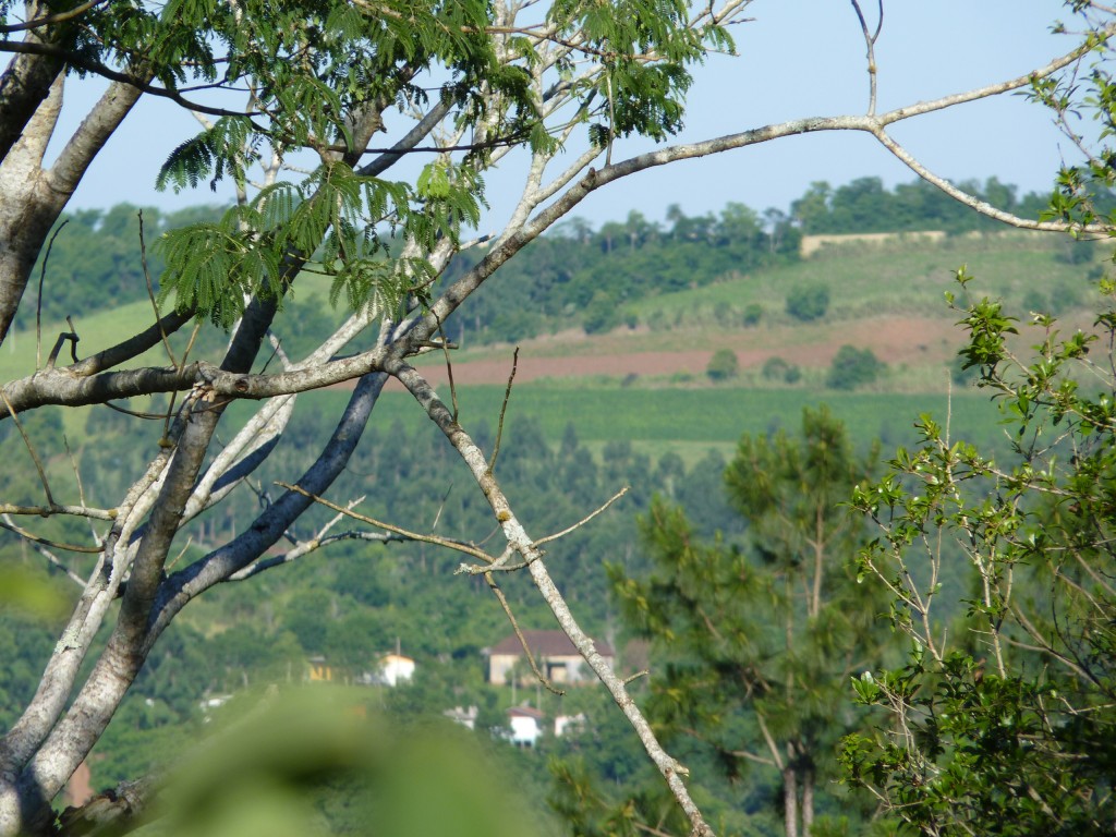 Foto: Vistas de El Soberbio. - El Soberbio (Misiones), Argentina