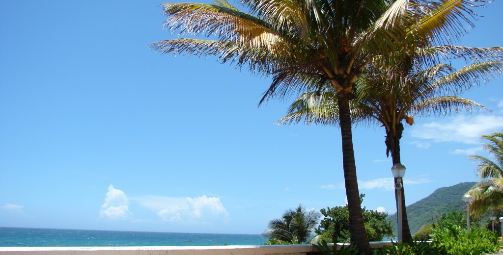 Foto de Camurí Grande (Vargas), Venezuela