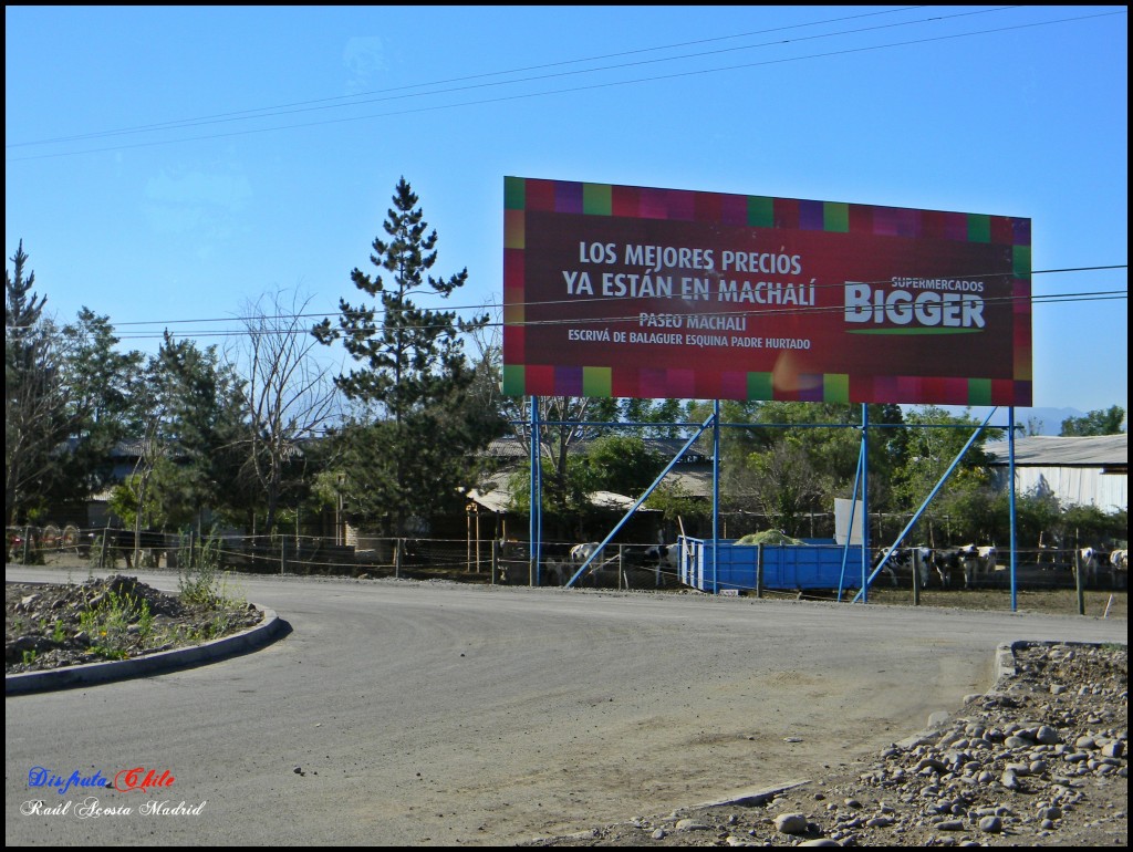 Foto de Machali (Libertador General Bernardo OʼHiggins), Chile