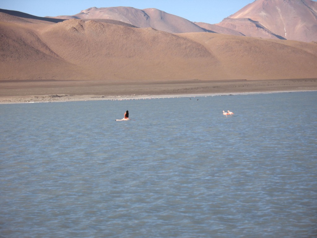 Foto: Laguna Blanca y alrededores. - Sud Lípez (Potosí), Bolivia