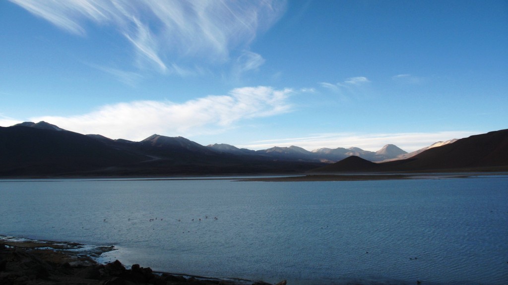 Foto: Laguna Blanca y alrededores - Sud Lípez (Potosí), Bolivia