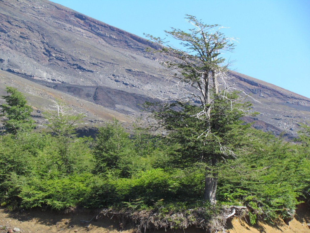 Foto: Ascenso al volcán Villarrica - Pucón (Araucanía), Chile