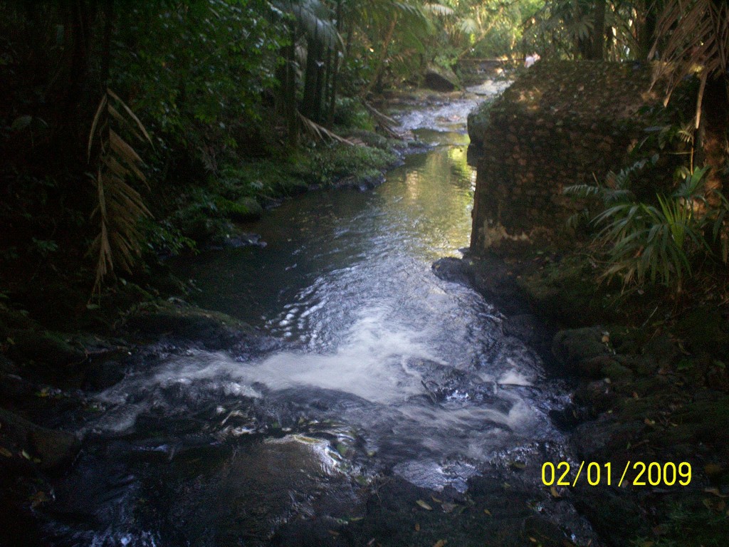 Foto de Aguas Zarcas (Alajuela), Costa Rica