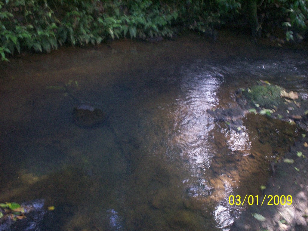 Foto: Aguas Termales - Aguas Zarcas (Alajuela), Costa Rica