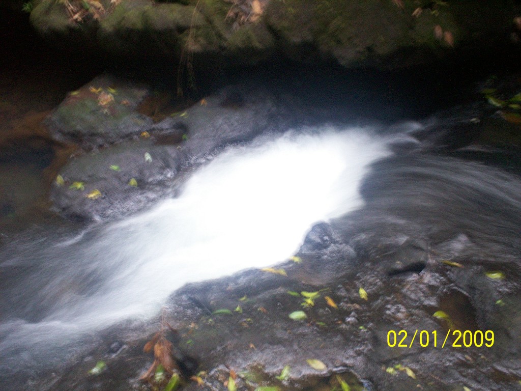 Foto: Manantial Aguazarcas - Aguas Zarcas (Alajuela), Costa Rica