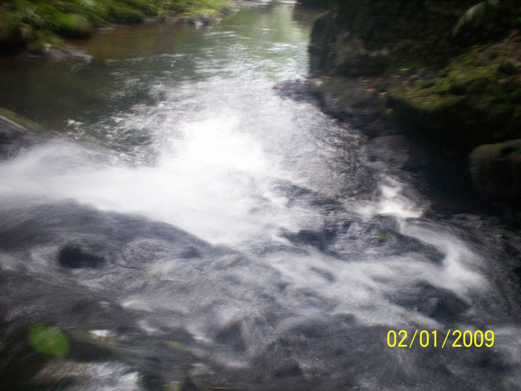 Foto: Aguas Zarcas - Aguas Zarcas (Alajuela), Costa Rica