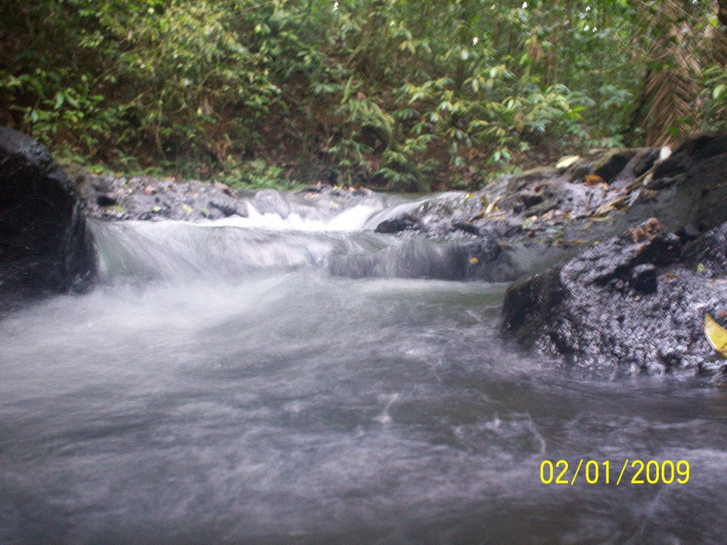 Foto: Termales Aguas Zarcas - Aguas Zarcas (Alajuela), Costa Rica