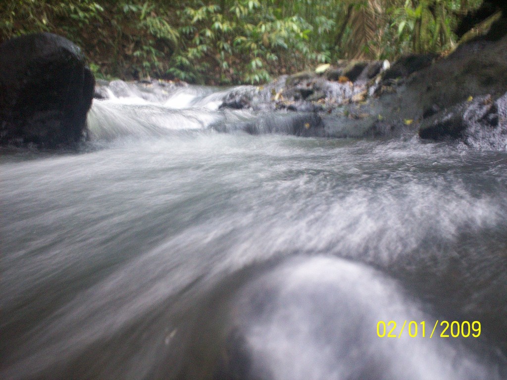 Foto: Termales Aguas Zarcas - Aguas Zarcas (Alajuela), Costa Rica