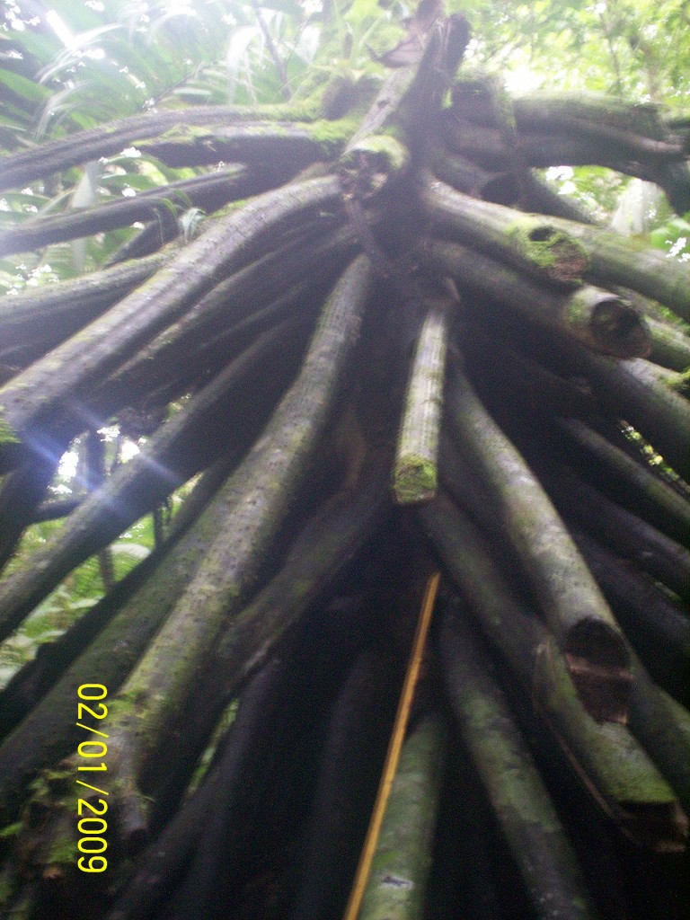 Foto: Aguas Termales, Aguas Zarcas - Aguas Zarcas (Alajuela), Costa Rica