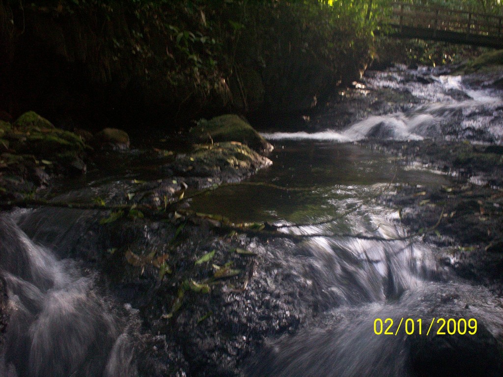 Foto: Aguas Termales, Aguas Zarcas - Aguas Zarcas (Alajuela), Costa Rica