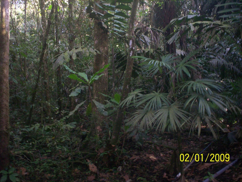 Foto: Aguas Termales, Aguas Zarcas - Aguas Zarcas (Alajuela), Costa Rica