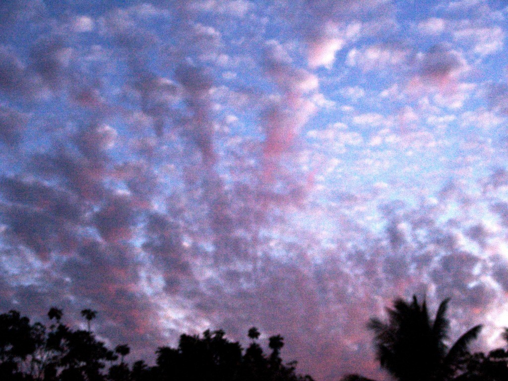 Foto de Tapachula (Chiapas), México