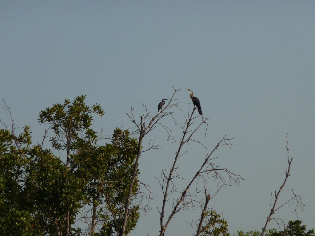 Foto de Tendaba Camp, Gambia