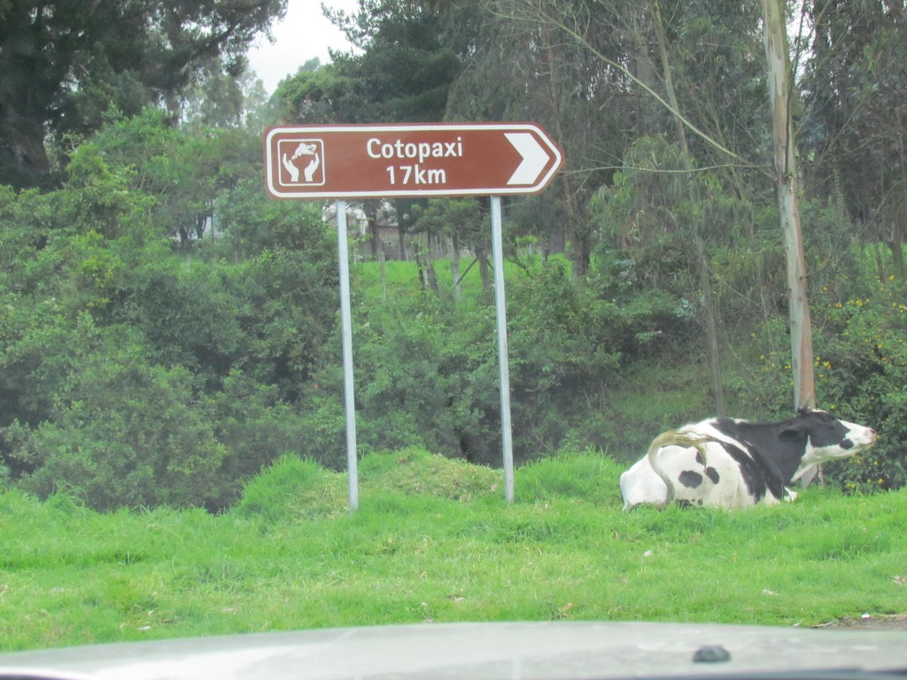 Foto de Cotopaxi, Ecuador