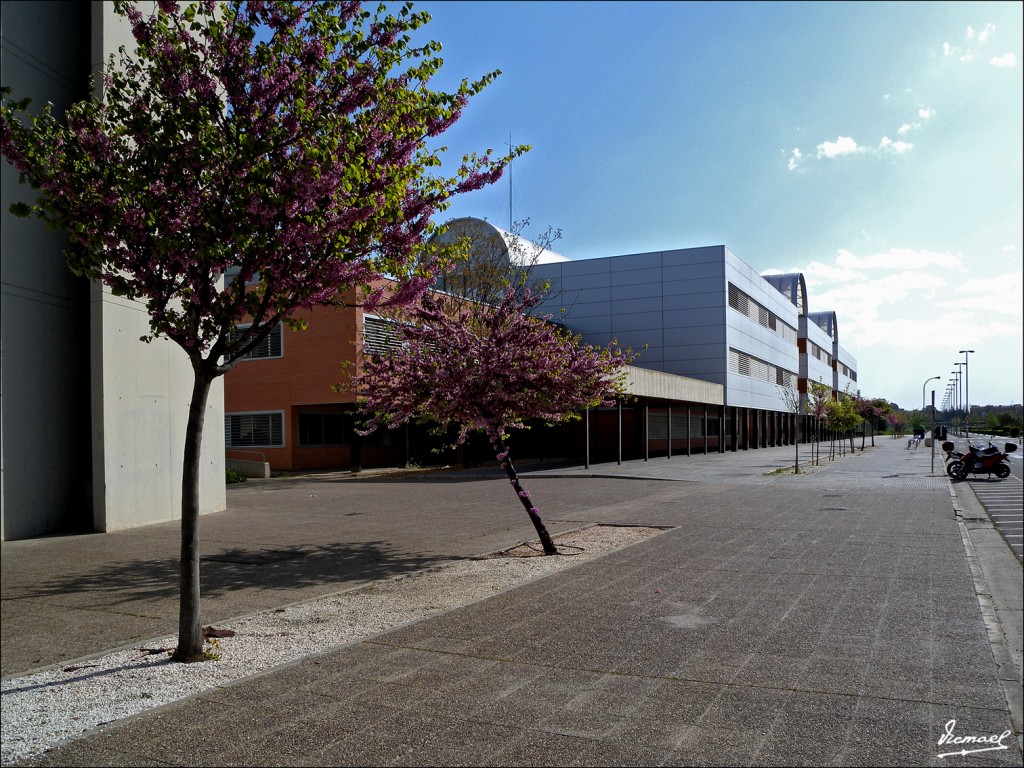 Foto: 110410-08 ESCUELA SUPERIOR INGENIEROS - Zaragoza (Aragón), España