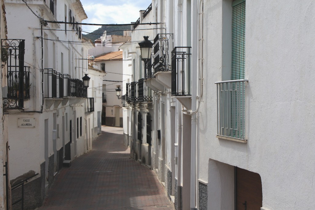 Foto: Vista del pueblo - Albánchez (Almería), España