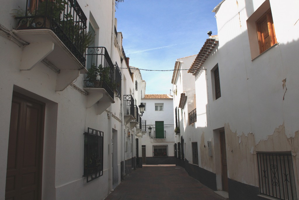 Foto: Vista del pueblo - Albánchez (Almería), España