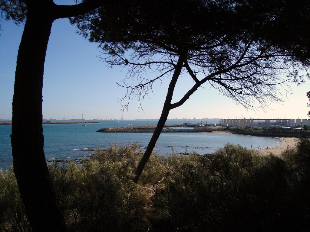 Foto: Pinar de la puntilla - Puerto Santa Maria (Cádiz), España