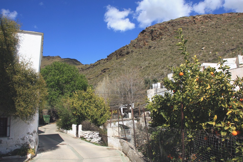 Foto: Vista del pueblo - Velefique (Almería), España