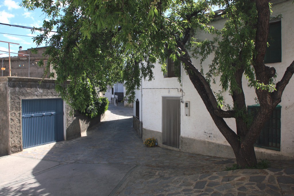 Foto: Vista del pueblo - Velefique (Almería), España