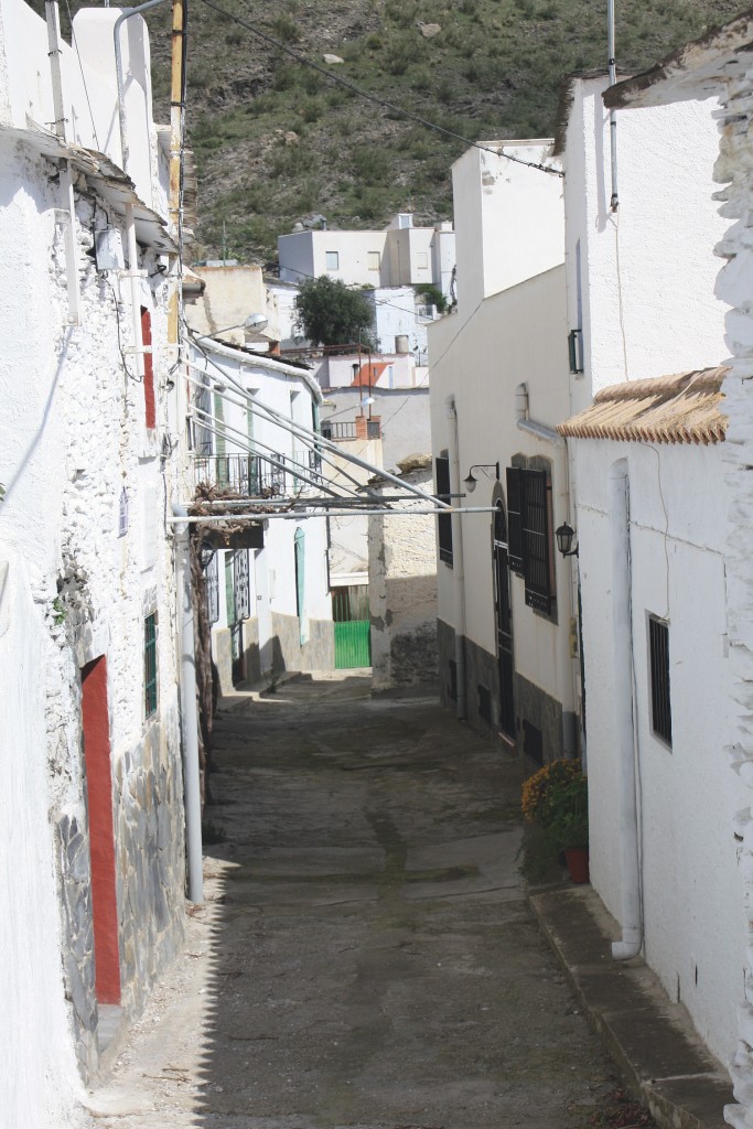 Foto: Vista del pueblo - Velefique (Almería), España