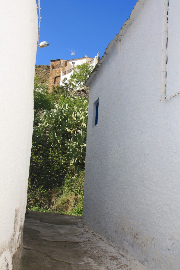 Foto: Centro histórico - Velefique (Almería), España